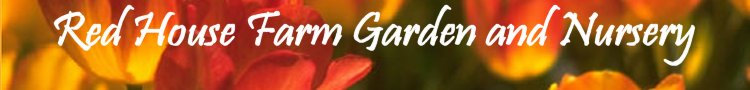Red House Farm Garden and Nursery - Click to return home...
